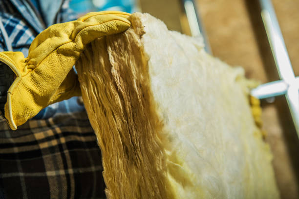 Best Eco-Friendly Insulation in Rankin, PA
